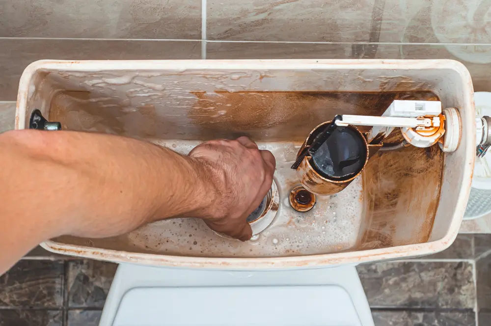 Honest recommendations backed by experience Honest recommendations backed by experience